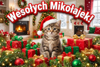 Kartki na Mikołajki z życzeniami. Pobierz darmowe grafiki i gotowe życzenia