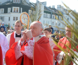 Święcenie palemek podczas pandemii 