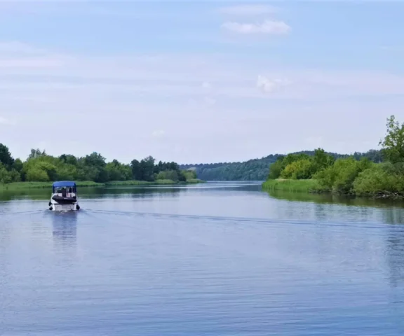 Polska Amazonia tuż obok dużego miasta. Niedoceniona kraina czeka na ochronę