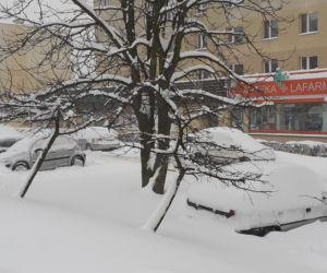 Zasypany Przemyśl (Zasanie) 11.02.2021