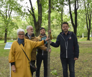 Drzewa na Woli będą przypominać o powstańcach. „Pamięć zawsze będzie żywa”