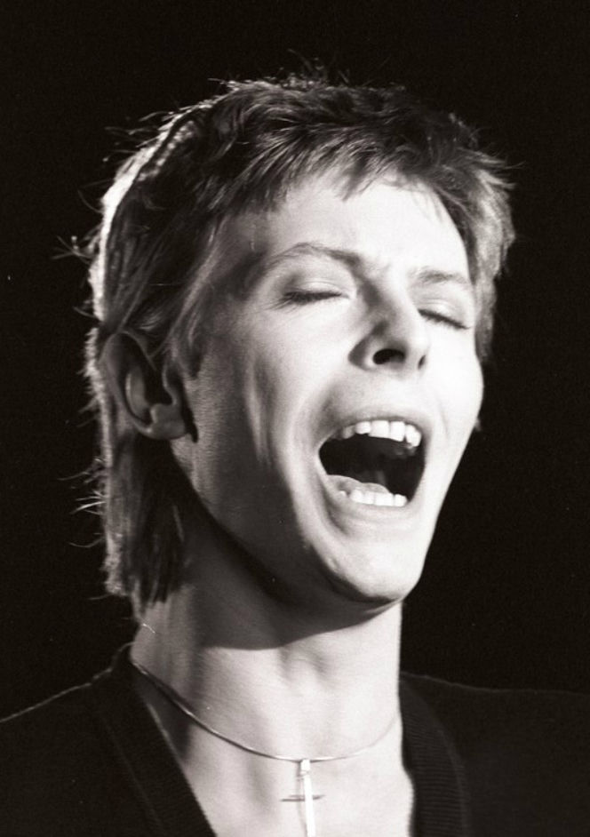 David Bowie
