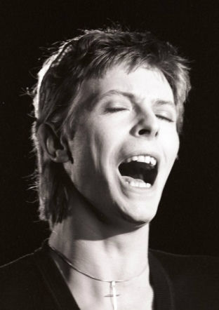 David Bowie