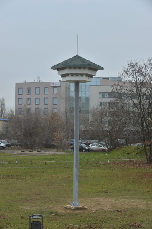 Na to wydali 50 tys. zł z budżetu obywatelskiego