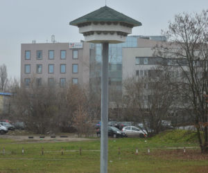 Na to wydali 50 tys. zł z budżetu obywatelskiego