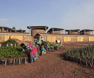 Architektura humanitarna