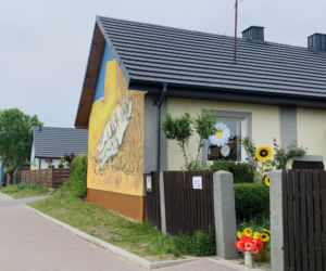 Kolorowe domy inspirowane twórczością Vincenta van Gogha zamieniły wieś liczącą zaledwie stu mieszkańców w prawdziwą atrakcję turystyczną