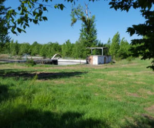 Kąpielisko Oporów