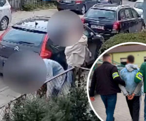 Wyrzucił kota z domu i zaczął go kopać! Obywatel Ukrainy został nagrany. Zwierzę czeka na adopcję [WIDEO]