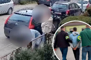 Wyrzucił kota z domu i zaczął go kopać! Obywatel Ukrainy został nagrany. Zwierzę czeka na adopcję [WIDEO]