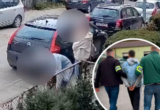 Wyrzucił kota z domu i zaczął go kopać! Obywatel Ukrainy został nagrany. Zwierzę czeka na adopcję [WIDEO]