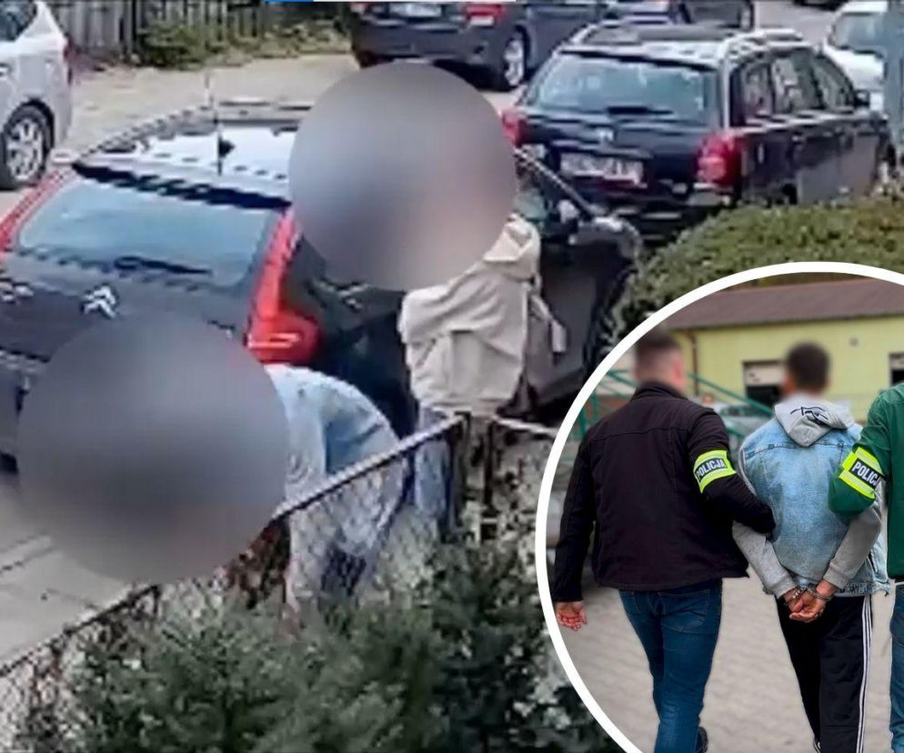 Szokujące nagranie z Gdańska. 20-latek z Ukrainy wyrzucił kota i zaczął go kopać. Sprawą zajęła się policja [WIDEO]