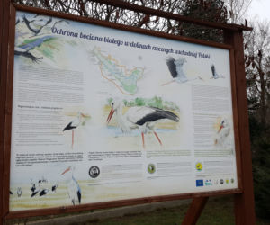 Łomżyński Park Krajobrazowy Doliny Narwi