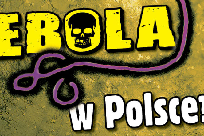 Ebola w Polsce ?