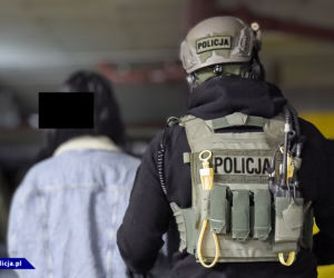 Potężne uderzenie w gang samochodowy. 10 osób w rękach policji