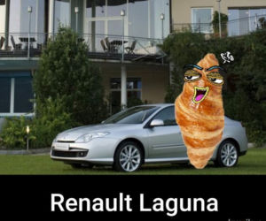 Krakowski lagun to prawdziwy FENOMEN! [MEMY]