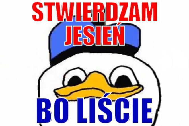 Jesień - memy
