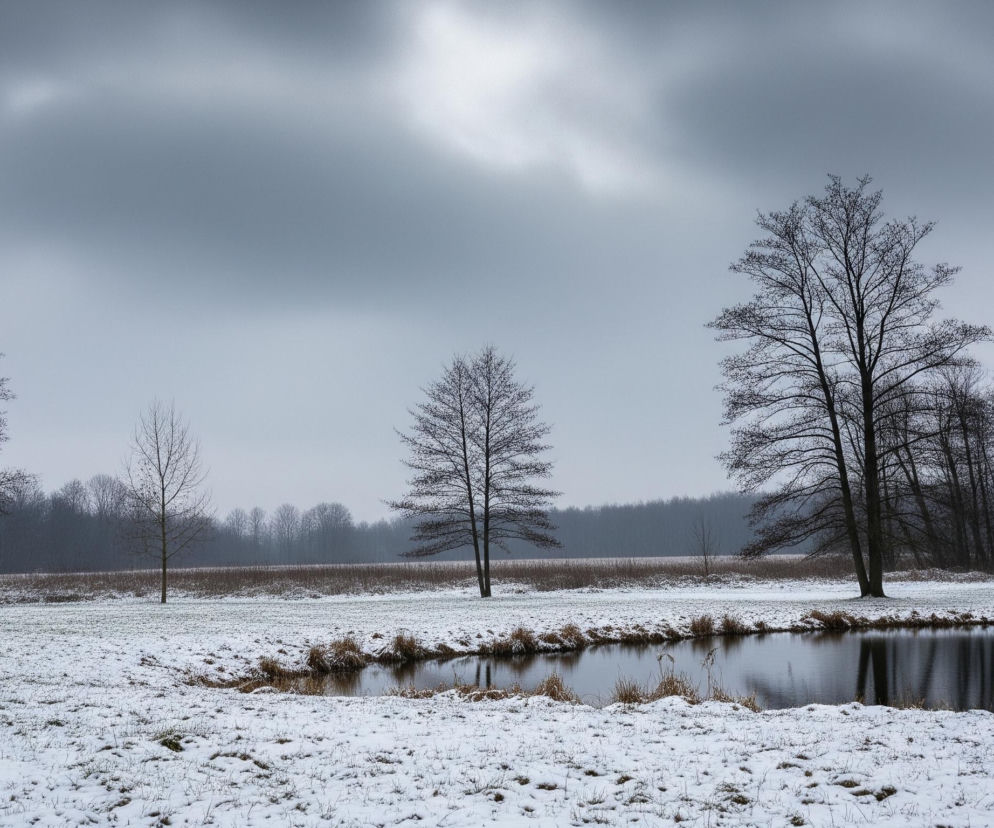 Ośnieżony krajobraz zimowy rozciąga się pod zachmurzonym, szarym niebem, które zajmuje około jednej trzeciej górnej części obrazu. W centralnej części kadru znajduje się ciemne, spokojne lustro wody, otoczone z obu stron pasem zaśnieżonego brzegu z widocznymi kępkami wyschniętej, brązowej trawy. Na dalszym planie za zbiornikiem wodnym rozciąga się szeroki, pokryty śniegiem teren, obsadzony licznymi, bezlistnymi drzewami o ciemnych pniach i gałęziach. W tle po lewej stronie znajduje się grupa kilku gęsto rosnących drzew, a po prawej pojedyncze, wysokie drzewo, natomiast dalszy horyzont wypełnia ciemny las.