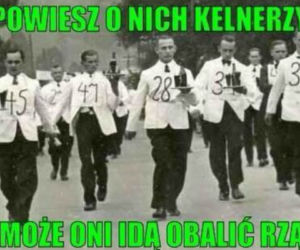 Memy dymisja rządu