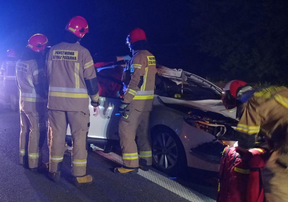 Poseł PiS uległ strasznemu wypadkowi! W jego auto uderzył łoś