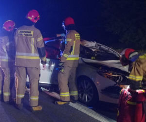 Poseł PiS uległ strasznemu wypadkowi! W jego auto uderzył łoś
