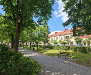To miasto w woj. świętokrzyskim ma jeden z najpiękniejszych rynków. Czaruje też zabytkową kaplicą