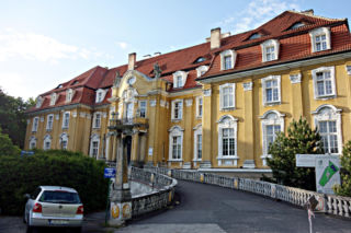 W tej wsi w woj. śląskim znajduje się jeden z najpiękniejszych pałaców. W PRL-u przekształcono go w sanatorium