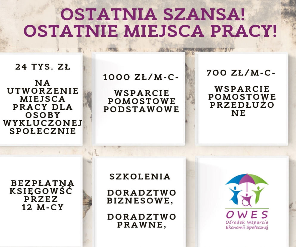 Warto tworzyć tego typu przedsiębiorstwa