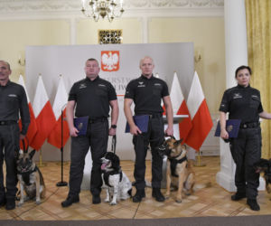Służby więzienne z psami