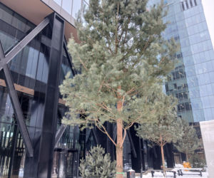 Studio A w Warszawie pod koniec budowy