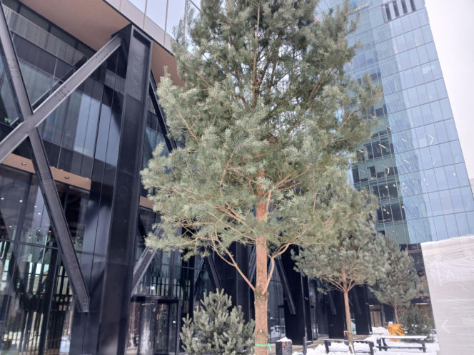 Studio A w Warszawie pod koniec budowy