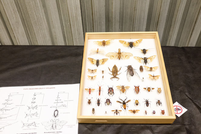 Targi egzotyki w Katowicach