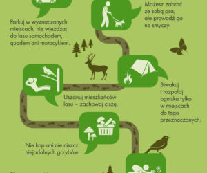 Bezpieczeństwo w lesie
