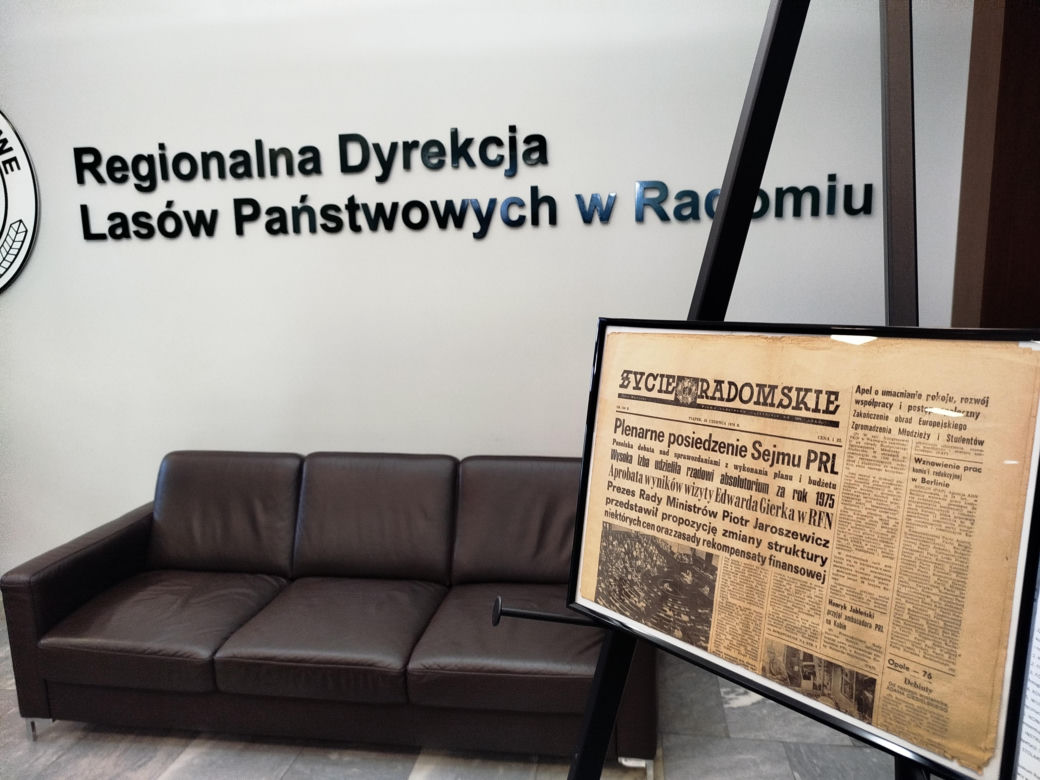 RDLP noc muzeów