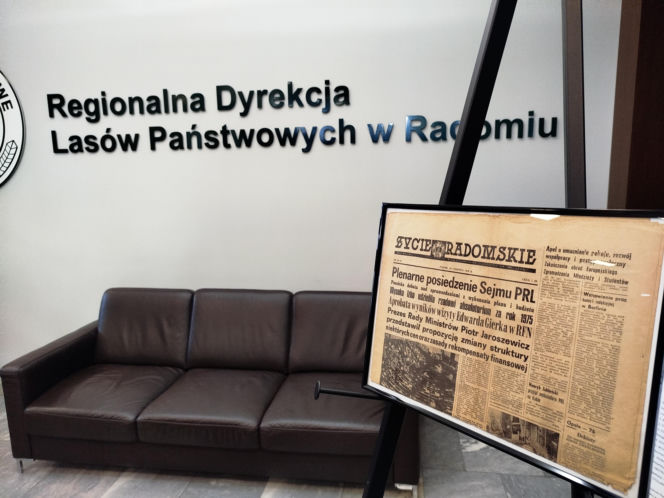 RDLP noc muzeów