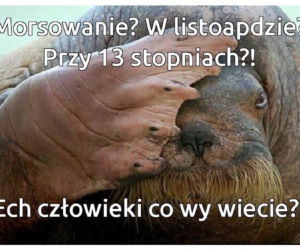 Morsowanie: MEMY 2021. Zobacz najlepsze obrazki i memy o morsowaniu! [ZDJĘCIA]