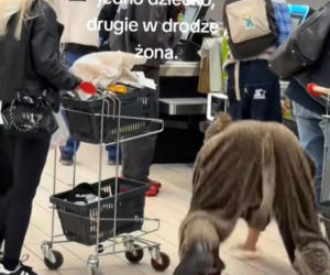 Friz przebrany za dzika