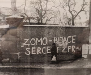 Wystawa w Miejskiej Bibliotece Publicznej w Lesznie
