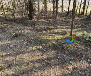 Światowa prasa pisze o śmierci Magdaleny Majtyki! Mówią o tajemnicy