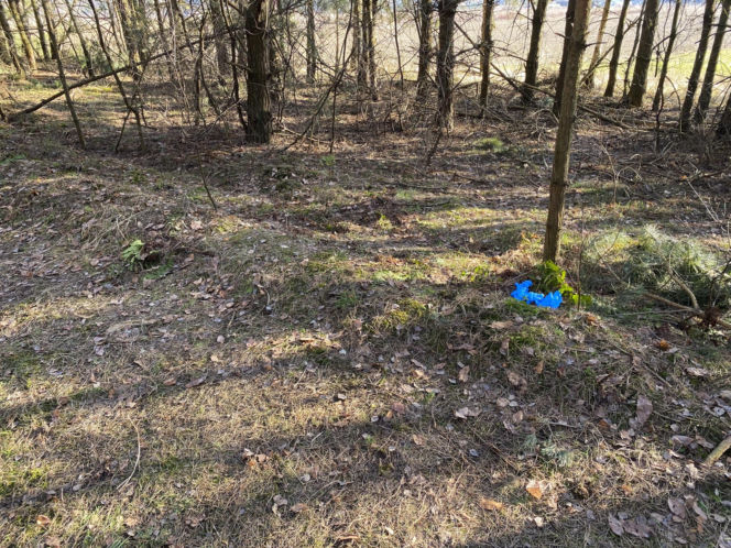 Światowa prasa pisze o śmierci Magdaleny Majtyki! Mówią o tajemnicy