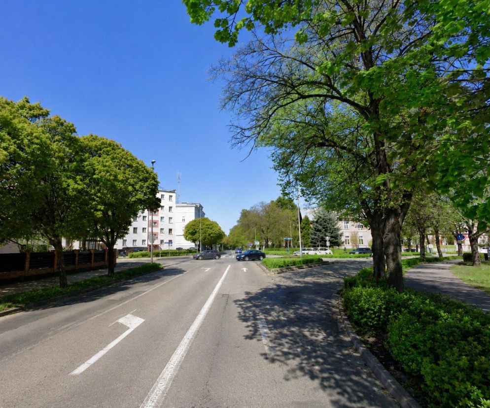 Ulica 17 Stycznia w Lesznie otoczona zielonymi drzewami. O planach budowy rond przeczytasz na Eska Leszno.