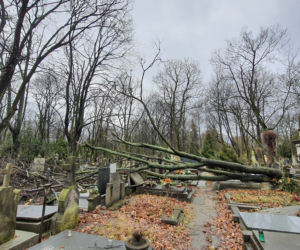 Wichura zdemolowała stołeczne nekropolie. Kompletna ruina na cmentarzach 