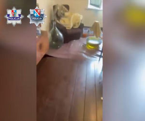 Na terenie posesji w powiecie dębickim funkcjonariusze odkryli kompletną linię produkcyjną, a także ponad 28 kilogramów gotowego mefedronu