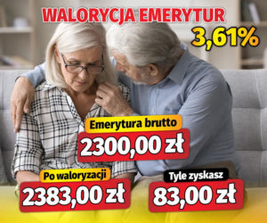 Waloryzacja