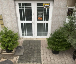 „Muala” od Książula w Kraśniku