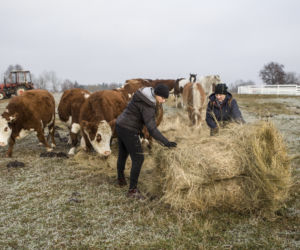 Rolnicy. Podlasie, odcinek 5 [11.04.2021]	