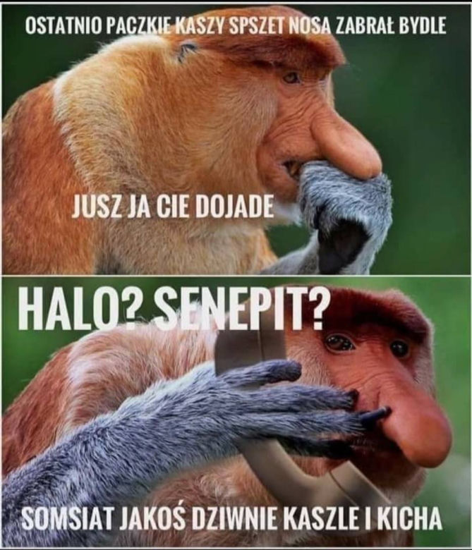 Puste półki w sklepach. MEMY - Polacy szturmują sklepy