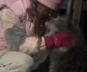 Koniec heroizmu Dody? Artystka mówi dość po dramatycznych wizytach w schroniskach