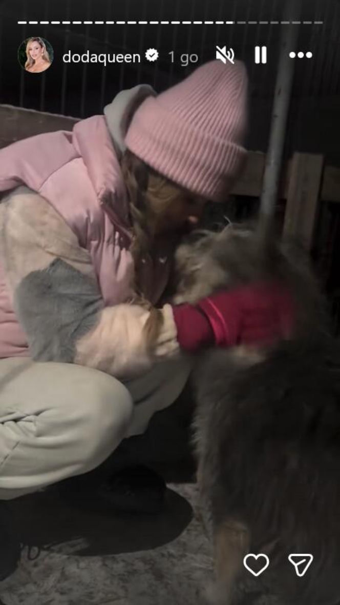 Koniec heroizmu Dody? Artystka mówi dość po dramatycznych wizytach w schroniskach