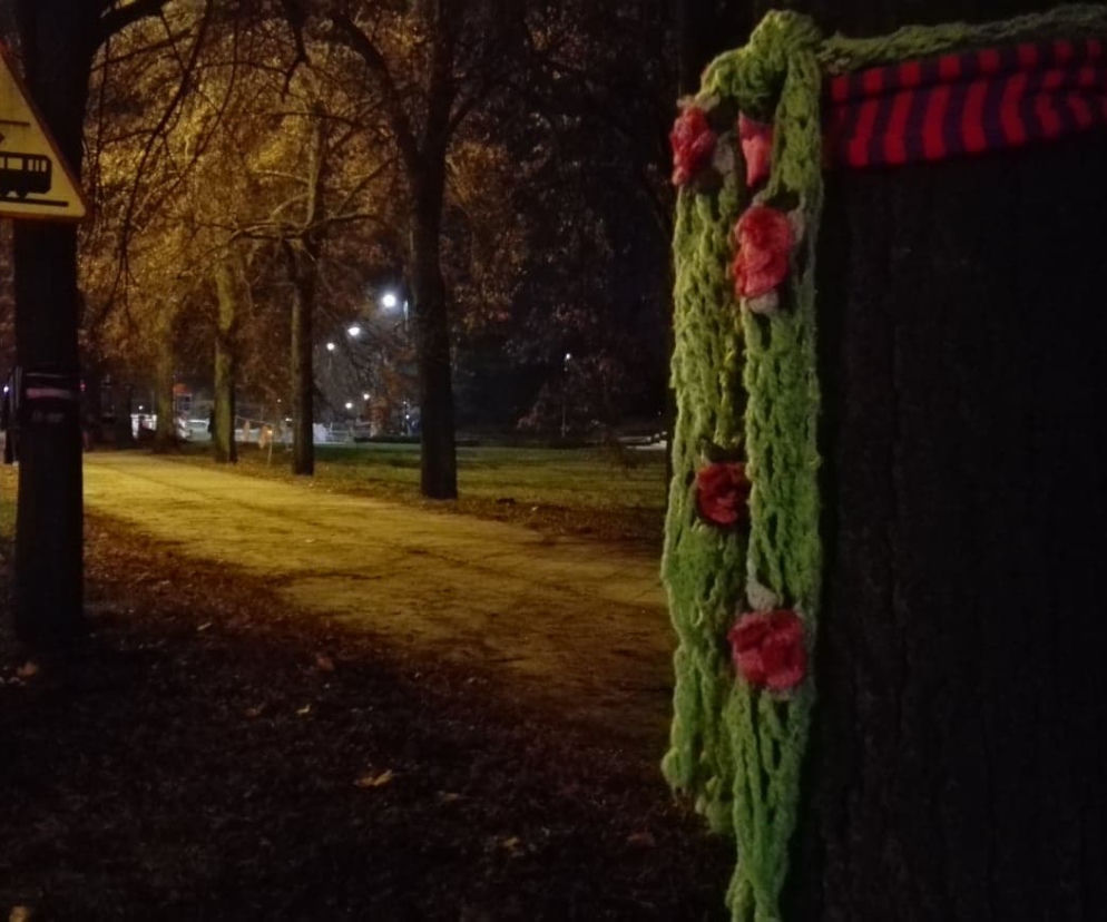 Nietypowe życzenia świąteczne od Zielonego Torunia. Przygotowali podwójny prezent